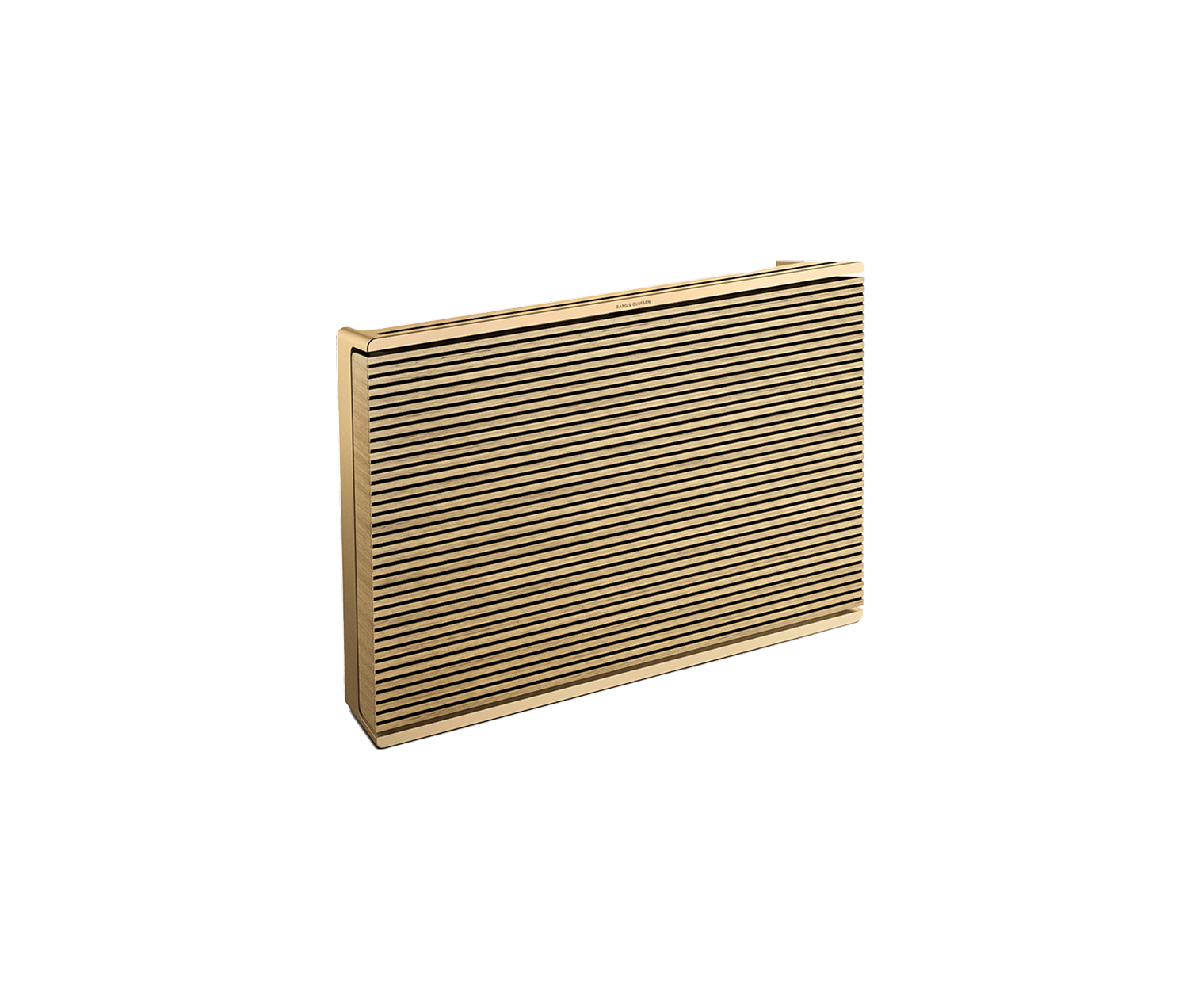 Beosound LevelBeosound Level